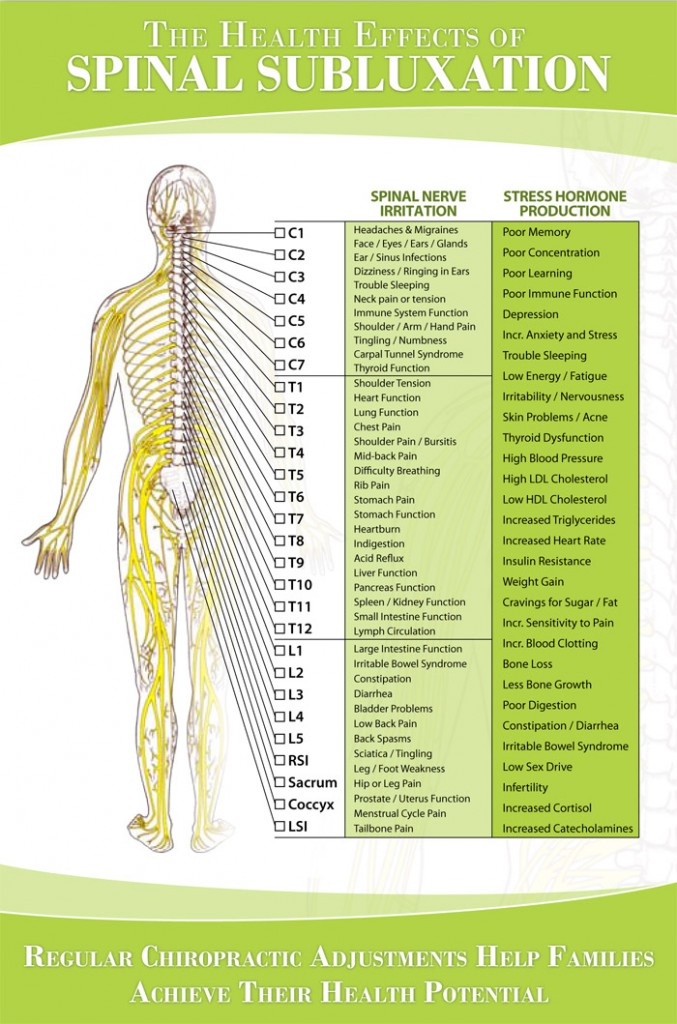 Nerve Chart Hunter Chiropractic Wellness Centre